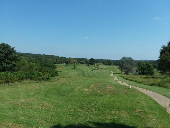 23980 Shadow Lake Dr, Wheatland, MO 65779